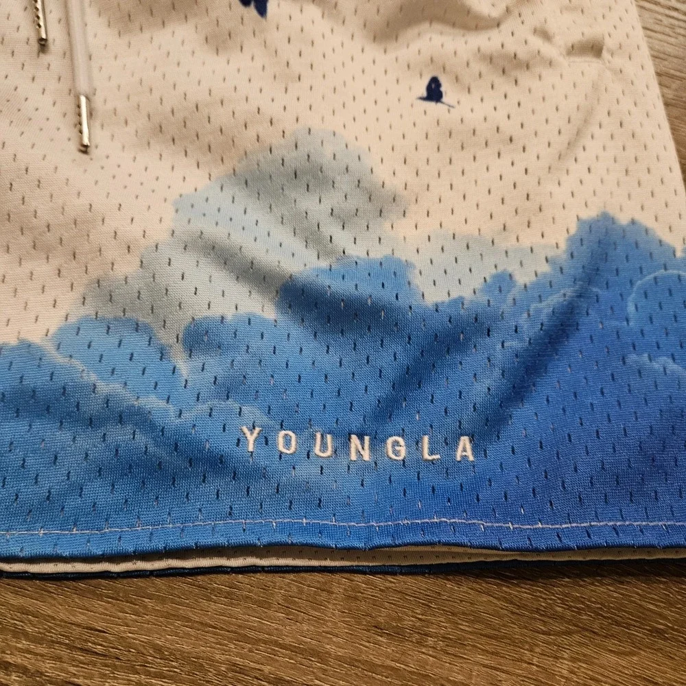 YoungLA 141 The Block Party Shorts Mens Large Above the Clouds Birds Streetwear